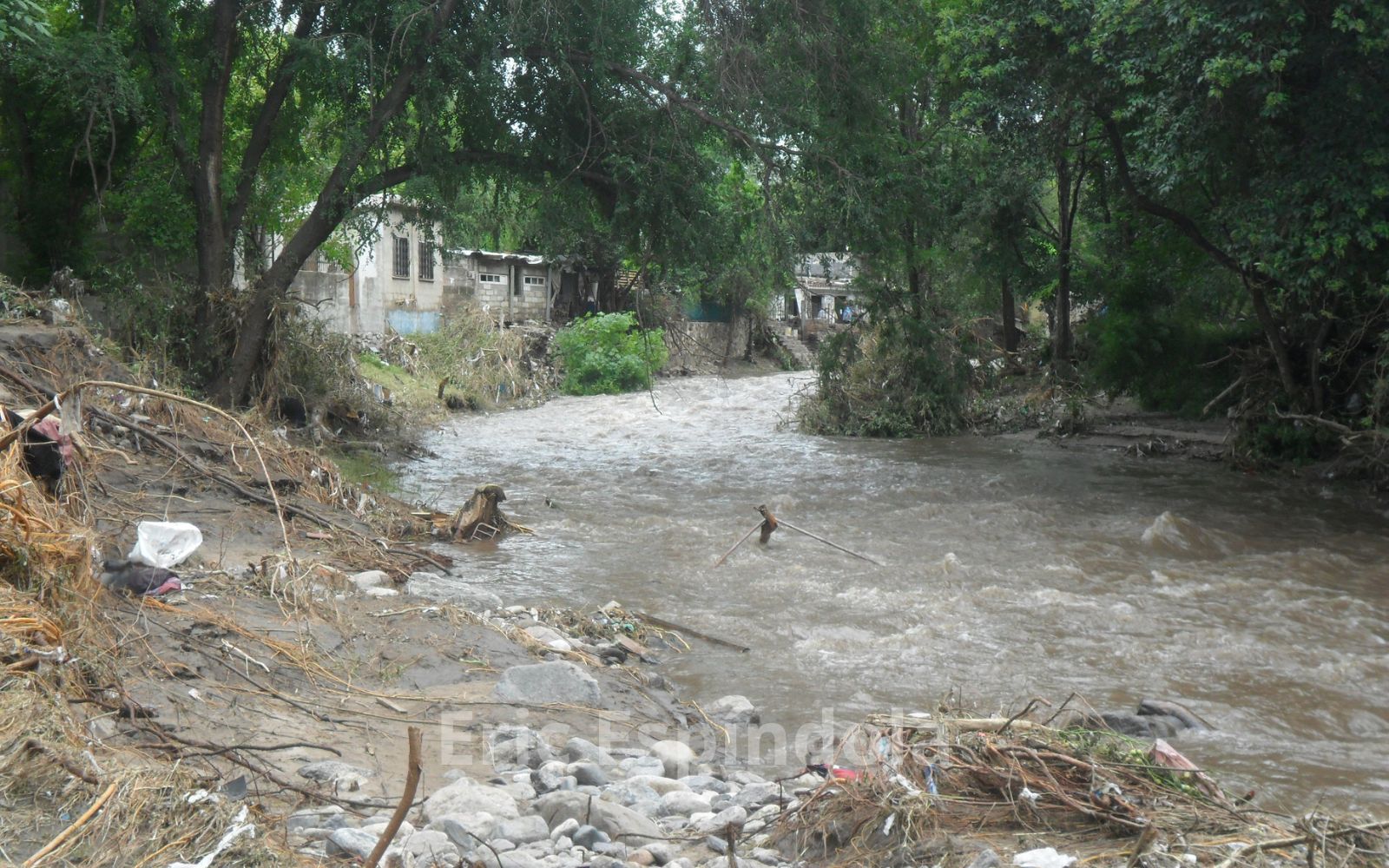 “Vamos tarde”: el fuerte reclamo ambiental que llegó a la Justicia