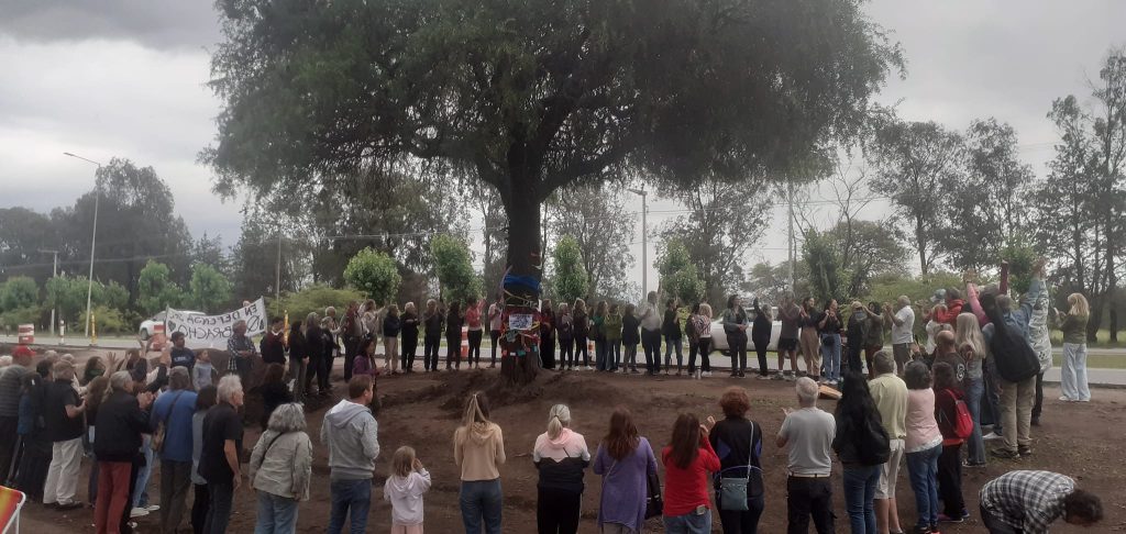 Imagen: Analia Sacristán.