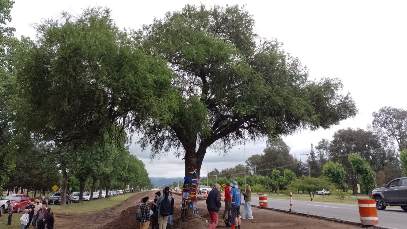 Impulsan un proyecto de ley para proteger al quebracho blanco de Avenida Luchesse