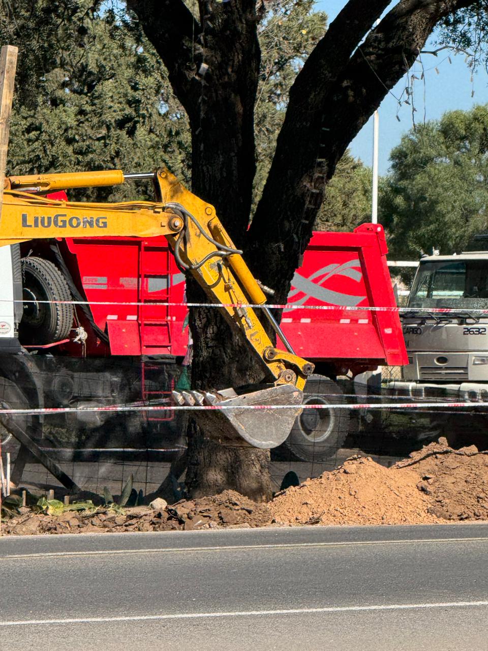 Iniciaron las tareas para remover el quebracho de Avenida Luchesse