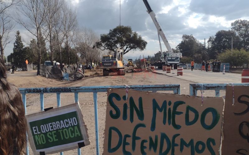 Insistirán con el traslado del quebracho en Villa Allende