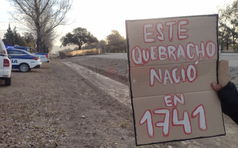Nueva medida cautelar para proteger al quebracho de Avenida Luchesse