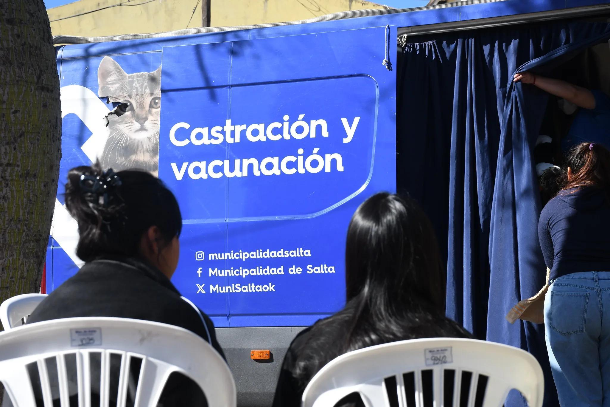 Más castraciones y control animal: Villa Allende refuerza su política pública