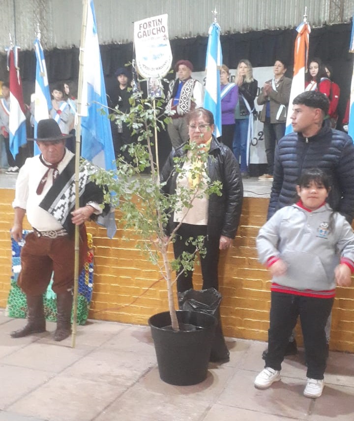 Indignación en Estación General Paz: quitaron el “Árbol de la Vida” plantado en homenaje a Malvinas